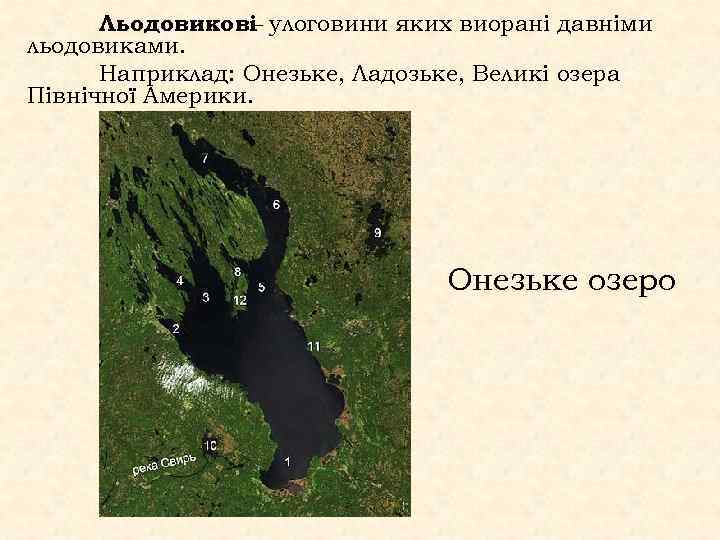 Льодовикові улоговини яких виорані давніми – льодовиками. Наприклад: Онезьке, Ладозьке, Великі озера Північної Америки.