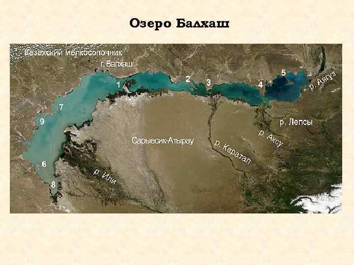 Озеро Балхаш 