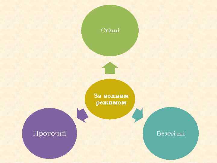 Стічні За водним режимом Проточні Безстічні 