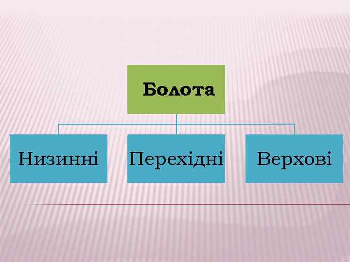 Болота Низинні Перехідні Верхові 
