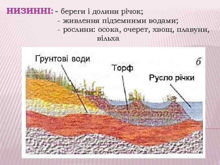 НИЗИННІ: - береги і долини річок; - живлення підземними водами; - рослини: осока, очерет,