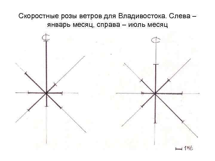 Месяц ветров. Роза ветров Владивосток. Гроза ветров владтвосток. Роза ветров для Владивостока в июле и январе. Роза ветров Владивосток январь.