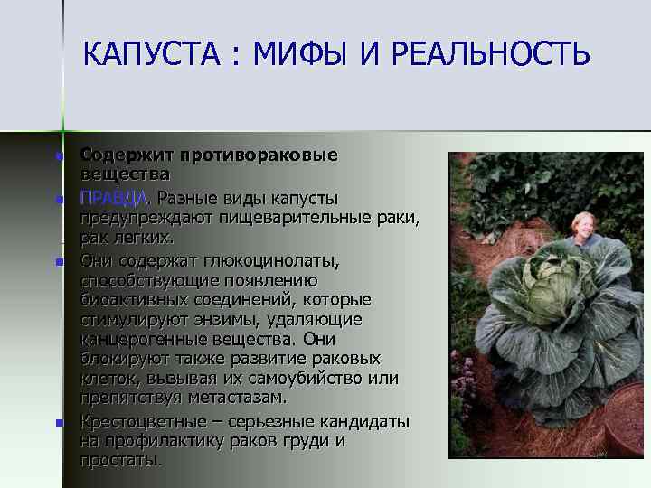 КАПУСТА : МИФЫ И РЕАЛЬНОСТЬ n n Содержит противораковые вещества ПРАВДА. Разные виды капусты