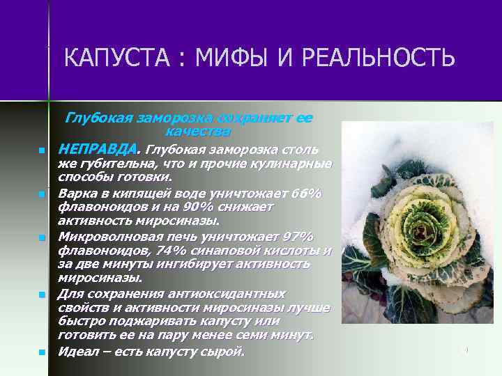 КАПУСТА : МИФЫ И РЕАЛЬНОСТЬ n n n Глубокая заморозка сохраняет ее качества НЕПРАВДА.
