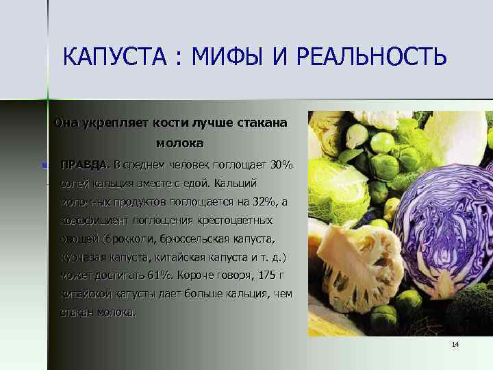 КАПУСТА : МИФЫ И РЕАЛЬНОСТЬ Она укрепляет кости лучше стакана молока n ПРАВДА. В