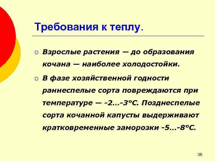 Требования к теплу. ¡ Взрослые растения — до образования кочана — наиболее холодостойки. ¡