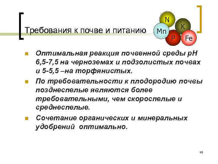N Требования к почве и питанию n n n Mn K P Fe Оптимальная