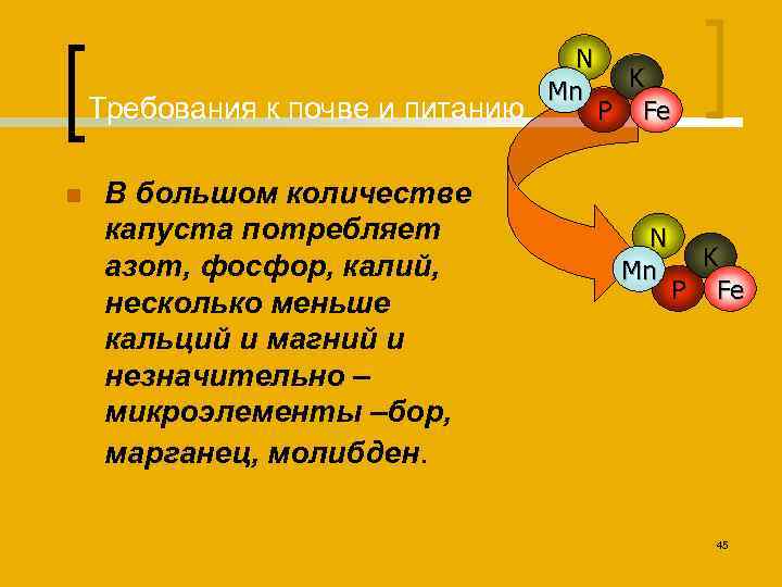 Требования к почве и питанию n В большом количестве капуста потребляет азот, фосфор, калий,