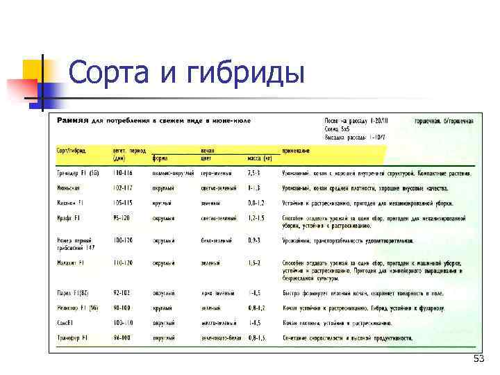 Сорта и гибриды 53 