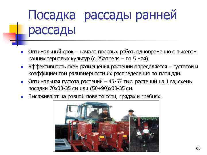 Посадка рассады ранней рассады n n Оптимальный срок – начало полевых работ, одновременно с