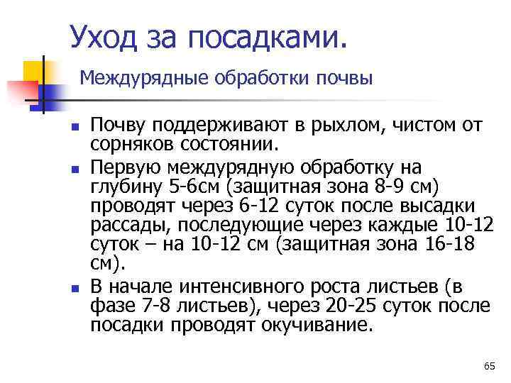Уход за посадками. Междурядные обработки почвы n n n Почву поддерживают в рыхлом, чистом