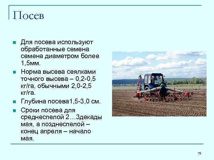 Посев n n Для посева используют обработанные семена диаметром более 1, 5 мм. Норма