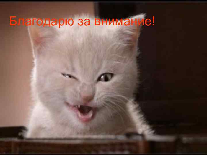 Благодарю за внимание! 