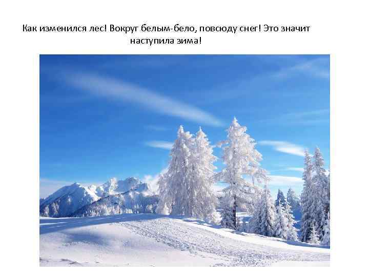 Как изменился лес! Вокруг белым-бело, повсюду снег! Это значит наступила зима! 
