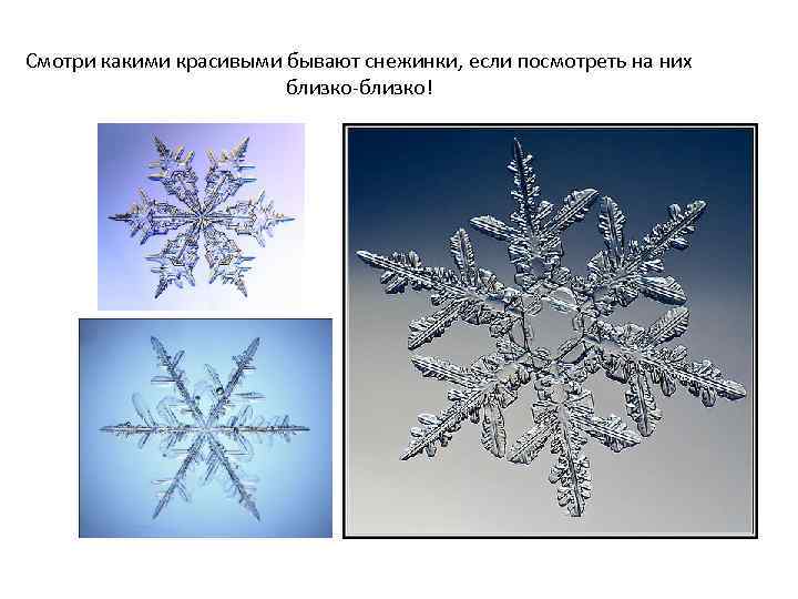 Смотри какими красивыми бывают снежинки, если посмотреть на них близко-близко! 