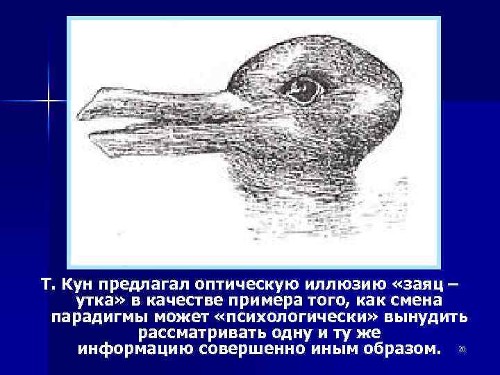 Т. Кун предлагал оптическую иллюзию «заяц – утка» в качестве примера того, как смена