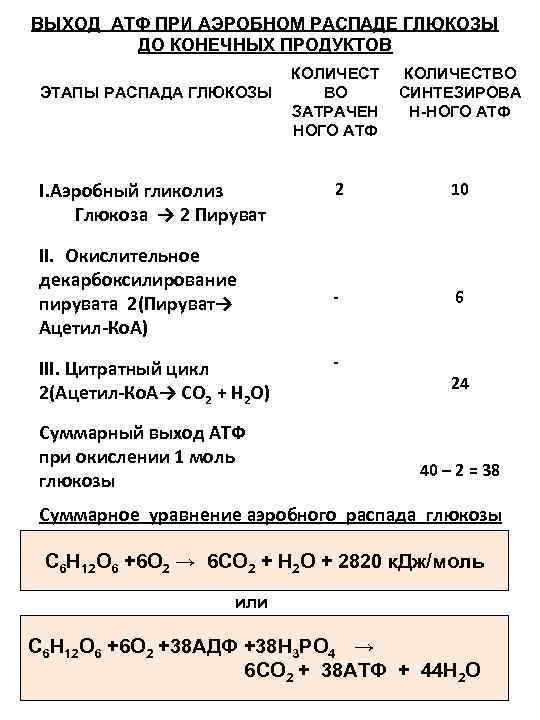 Этапы аэробного распада глюкозы