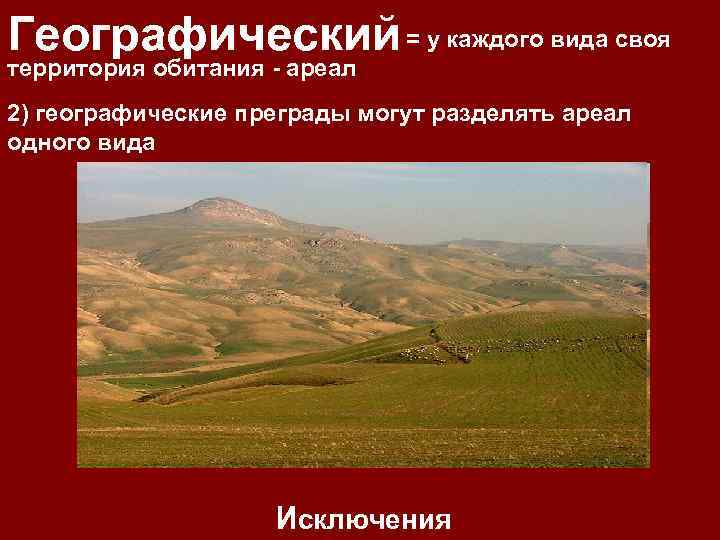 Географический = у каждого вида своя территория обитания - ареал 2) географические преграды могут