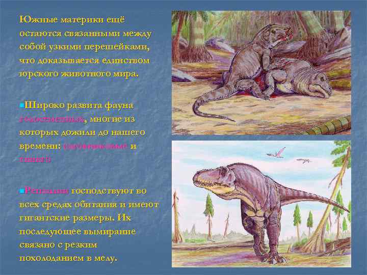 Южные материки ещё остаются связанными между собой узкими перешейками, что доказывается единством юрского животного