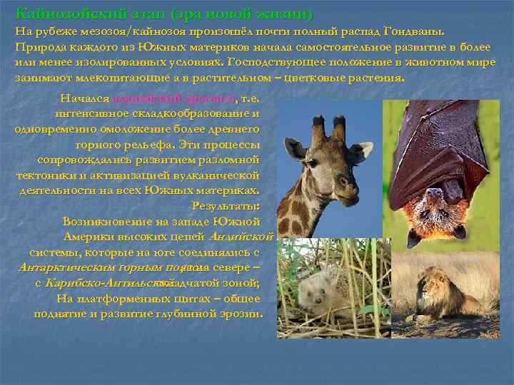 Кайнозойский этап (эра новой жизни) На рубеже мезозоя/кайнозоя произошёл почти полный распад Гондваны. Природа