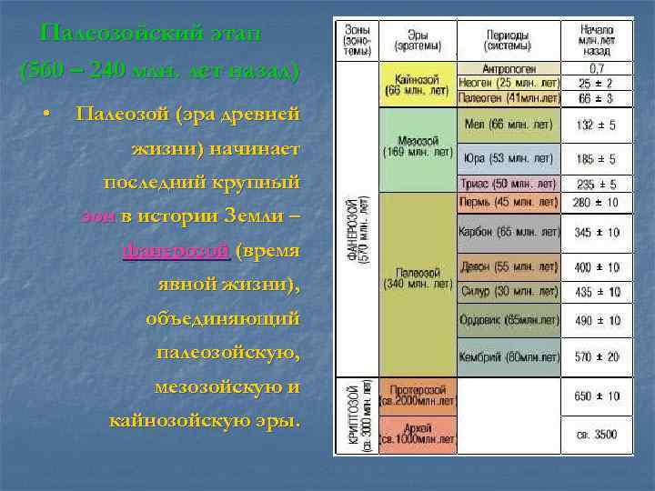Палеозойский этап (560 – 240 млн. лет назад) • Палеозой (эра древней жизни) начинает