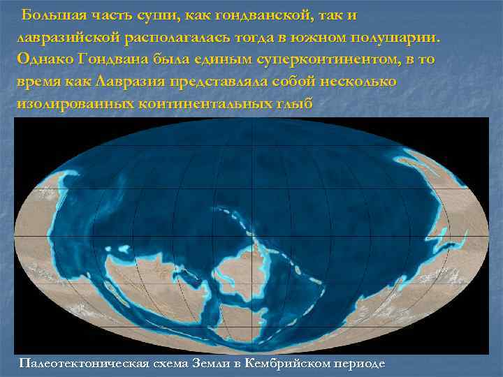 Большая часть суши, как гондванской, так и лавразийской располагалась тогда в южном полушарии. Однако