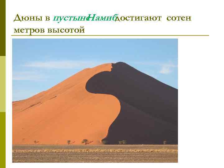 Дюны в пустыне Намибдостигают сотен метров высотой 