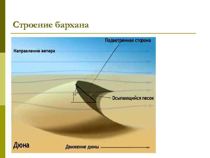 Строение бархана 
