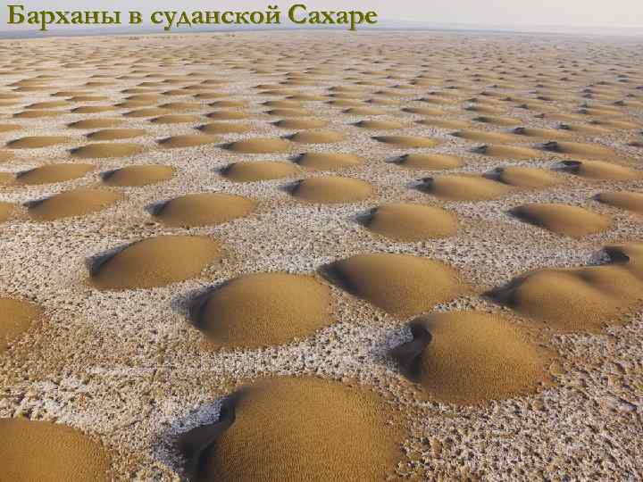 Барханы в суданской Сахаре 