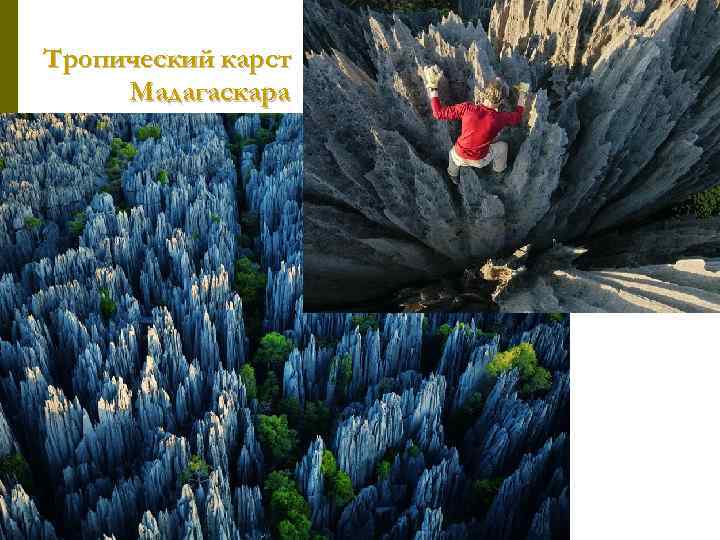 Тропический карст Мадагаскара 