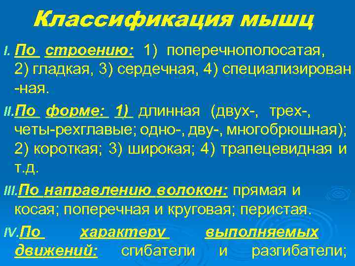 Классификация мышц I. По строению: 1) поперечнополосатая, 2) гладкая, 3) сердечная, 4) специализирован -ная.