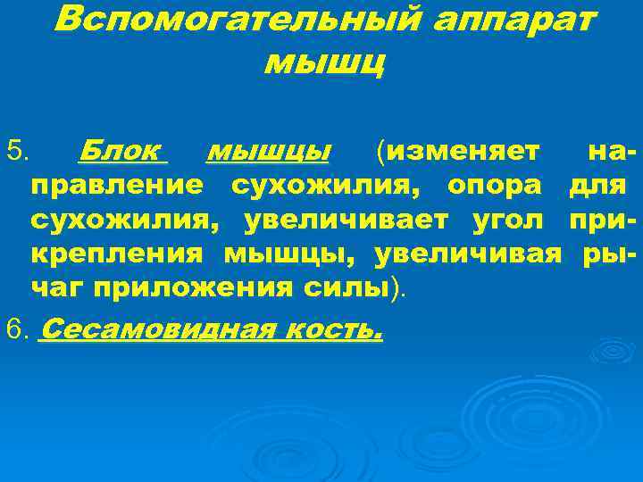 Вспомогательный аппарат мышц 5. Блок мышцы (изменяет направление сухожилия, опора для сухожилия, увеличивает угол