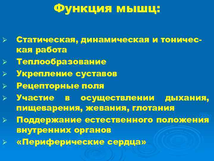 Функция мышц: Ø Ø Ø Ø Статическая, динамическая и тоническая работа Теплообразование Укрепление суставов