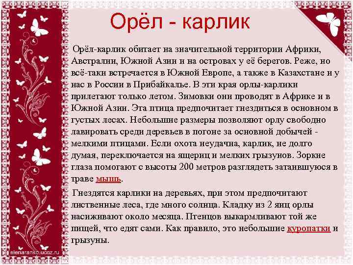Орёл - карлик Орёл-карлик обитает на значительной территории Африки, Австралии, Южной Азии и на