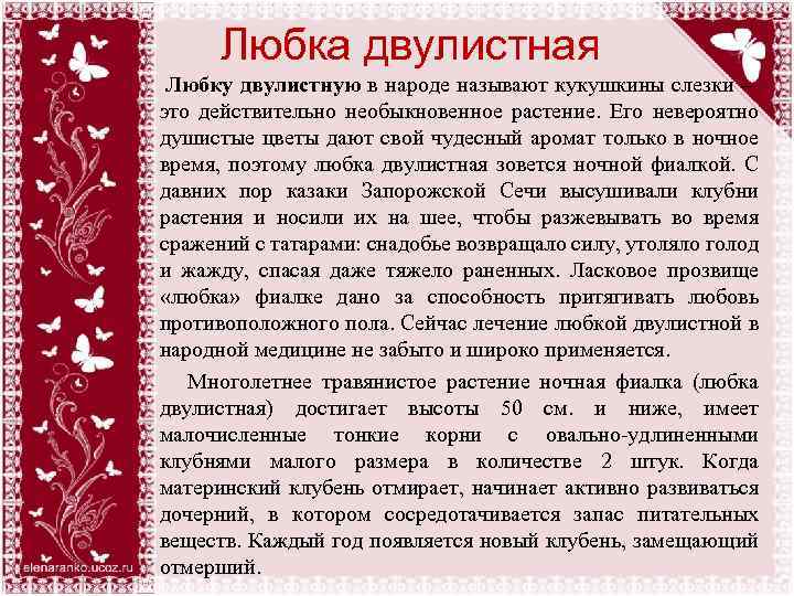 Любка двулистная Любку двулистную в народе называют кукушкины слезки – это действительно необыкновенное растение.