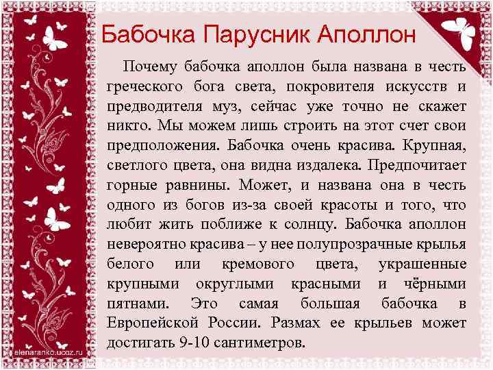 Бабочка Парусник Аполлон Почему бабочка аполлон была названа в честь греческого бога света, покровителя