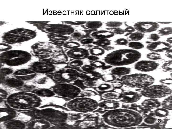 Известняк оолитовый 39 