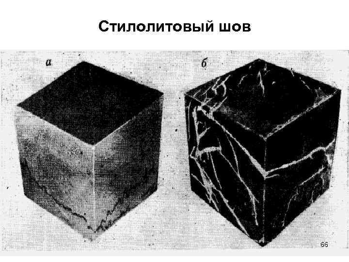 Стилолитовый шов 66 