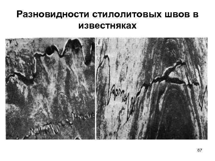 Разновидности стилолитовых швов в известняках 67 