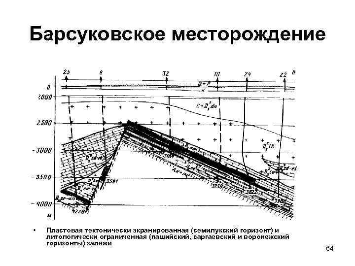 Месторождение характеристика. Геологическое строение Барсуковского месторождения. Барсуковское месторождение ЯНАО. Барсуковское месторождение Губкинский. Барсуковское месторождение геологический разрез.