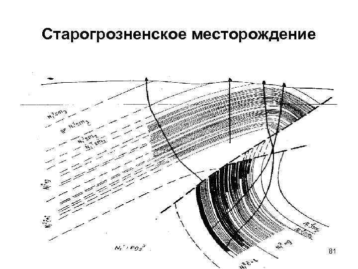 Старогрозненское месторождение 81 