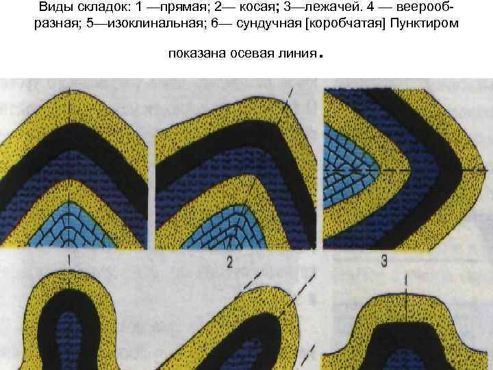 Виды складок: 1 —прямая; 2— косая; 3—лежачей. 4 — веерообразная; 5—изоклинальная; 6— сундучная [коробчатая]