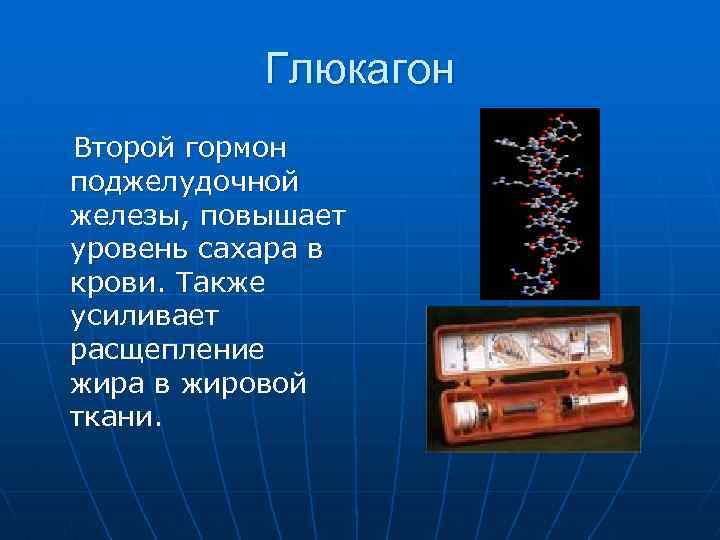Глюкагон Второй гормон поджелудочной железы, повышает уровень сахара в крови. Также усиливает расщепление жира