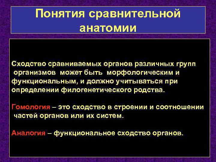 Сравнительные понятия. Методы сравнительной анатомии. Сравнительная анатомия изучает. Задачи сравнительной анатомии. Сравнительная анатомия это в биологии.