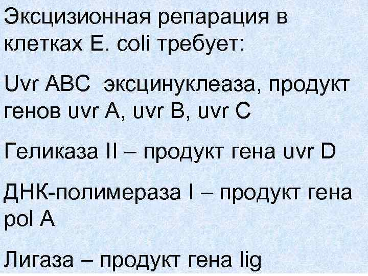 Эксцизионная репарация в клетках E. coli требует: Uvr ABC эксцинуклеаза, продукт генов uvr A,