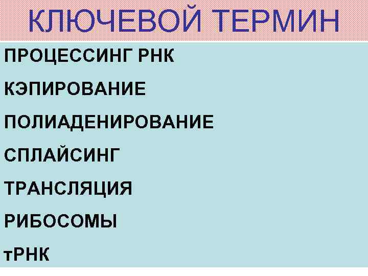 КЛЮЧЕВОЙ ТЕРМИН ПРОЦЕССИНГ РНК КЭПИРОВАНИЕ ПОЛИАДЕНИРОВАНИЕ СПЛАЙСИНГ ТРАНСЛЯЦИЯ РИБОСОМЫ т. РНК 
