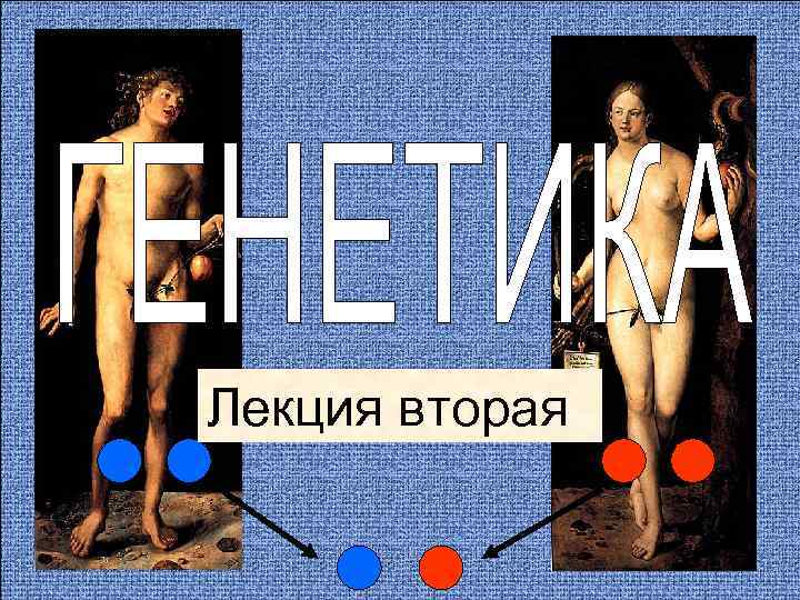 Лекция вторая 