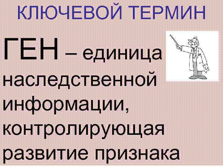 КЛЮЧЕВОЙ ТЕРМИН ГЕН – единица наследственной информации, контролирующая развитие признака 