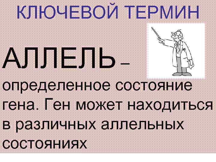 КЛЮЧЕВОЙ ТЕРМИН АЛЛЕЛЬ – определенное состояние гена. Ген может находиться в различных аллельных состояниях