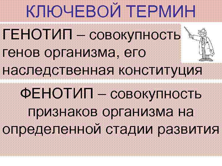 КЛЮЧЕВОЙ ТЕРМИН ГЕНОТИП – совокупность генов организма, его наследственная конституция ФЕНОТИП – совокупность признаков
